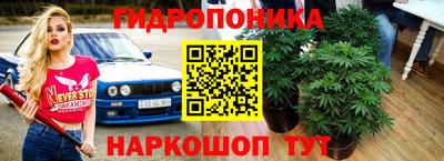 альфа пвп Дмитров