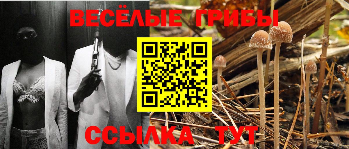 Галлюциногенные грибы Magic Shrooms Горячий Ключ