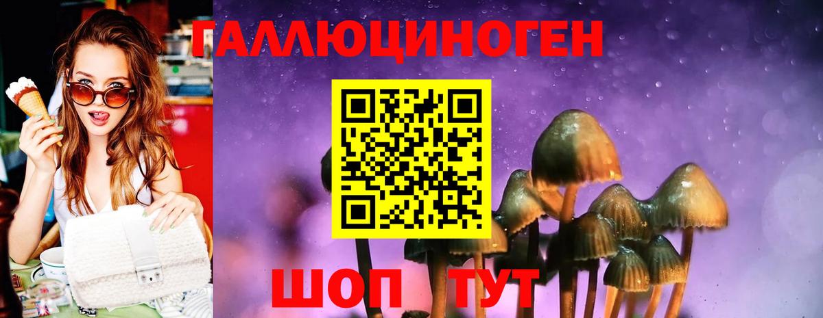 Горячий Ключ  Галлюциногенные грибы прущие грибы  Галлюциногенные грибы Psilocybe  Вход с VPN 